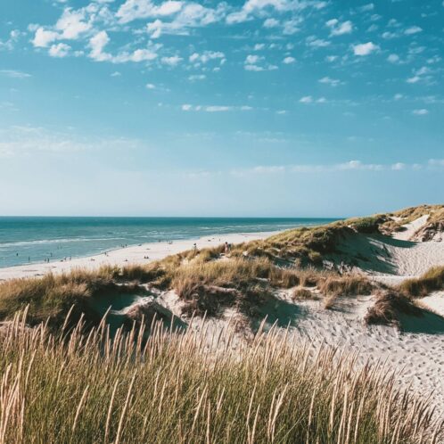 Dune bord de mer